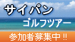 �T�C�p���S���t�c�A�[/�Q���ҕ�W��